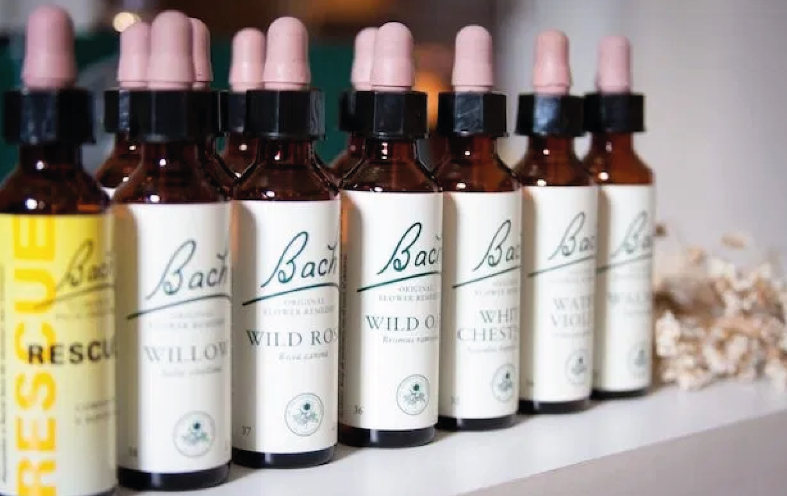 Terapia Floral Bach