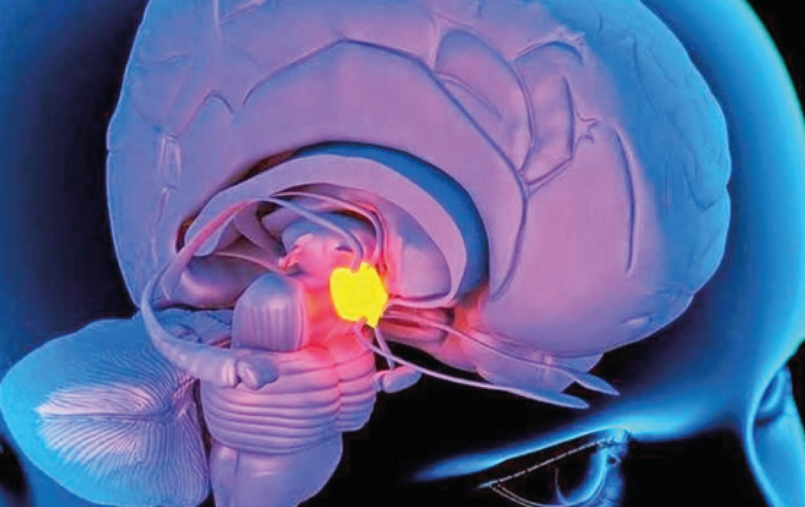 Activación de la Glándula Pineal