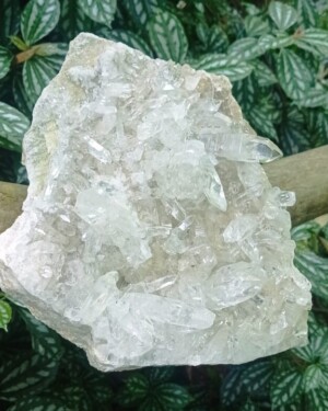 Drusa de Cuarzo Cristal Grande