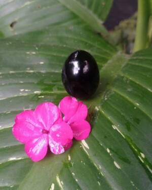 Huevo de Obsidiana Negra